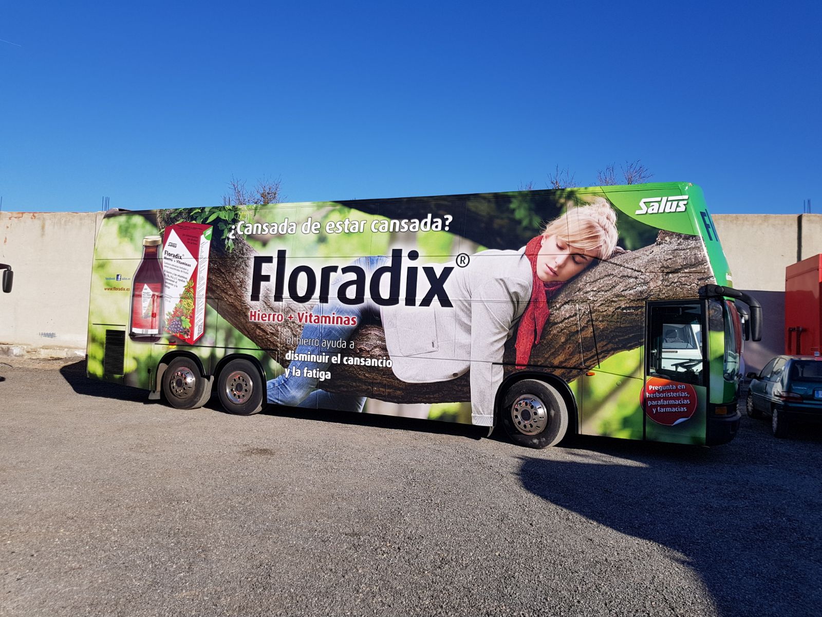 Acción de promoción del complemento alimenticio Floradix